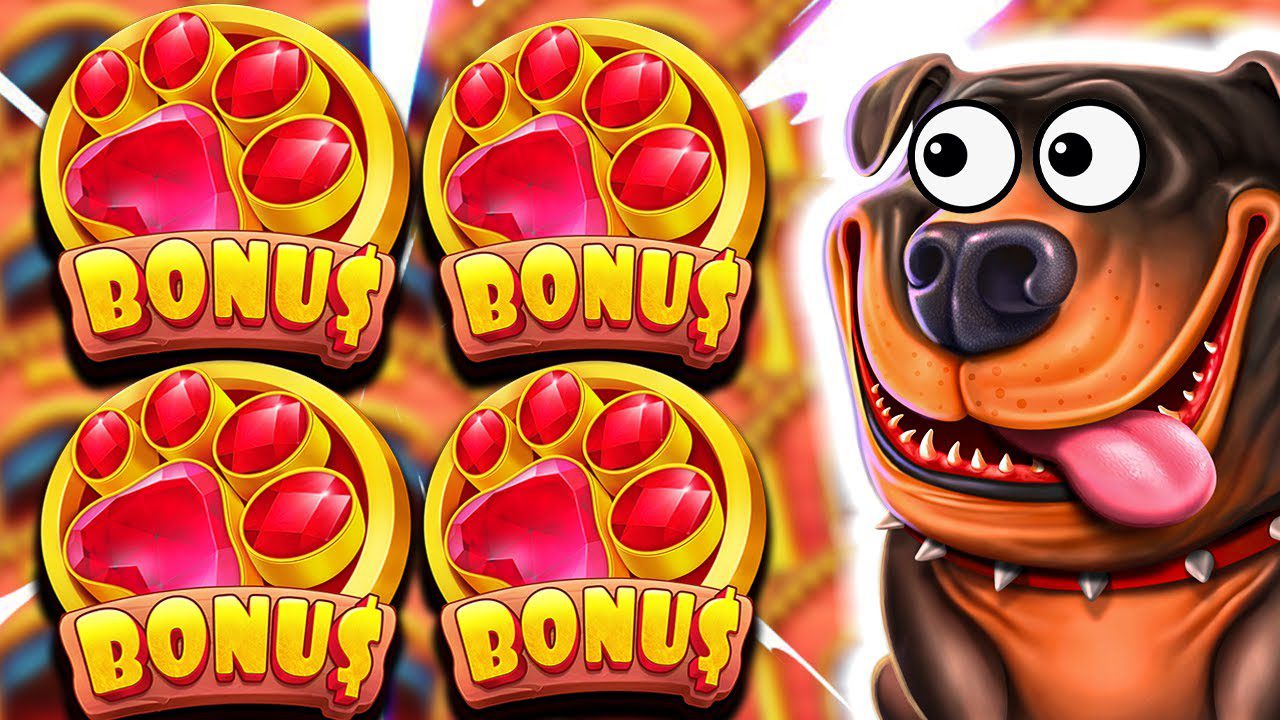 The Dog House Bonus Buy Feature