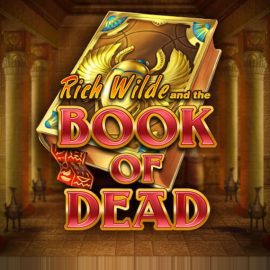 Book of Dead Slot Analysis